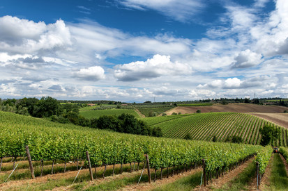 Weinbau