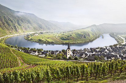 Pflanzenschutz DLR Mosel