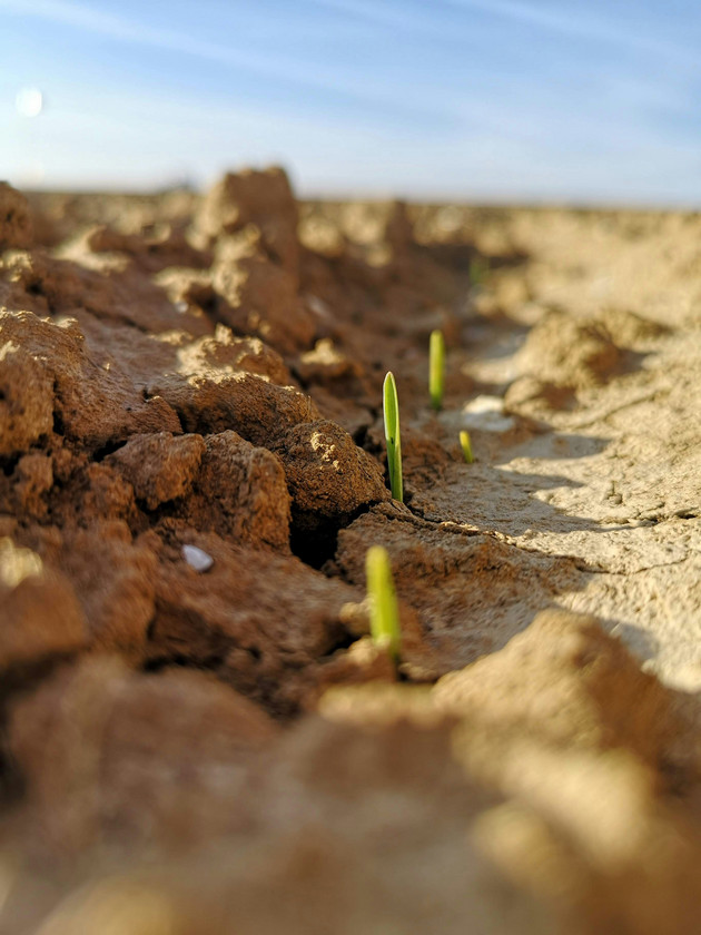 Tiefenlockerung – neu, einfach und preiswert ! Tiefenlockerung – neu, einfach und preiswert !